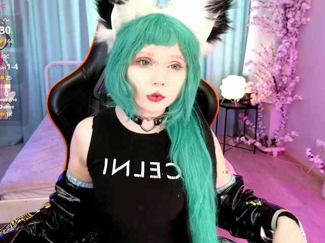 usagi-sasagi webcam