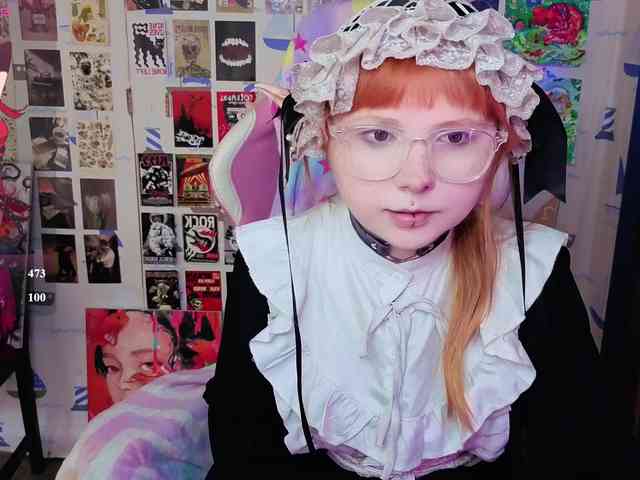 usagi-sasagi webcam