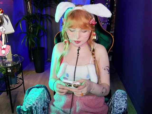 usagi-sasagi webcam