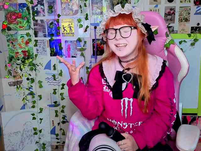 usagi-sasagi webcam