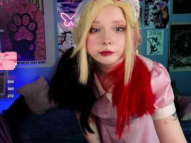 usagi-sasagi webcam