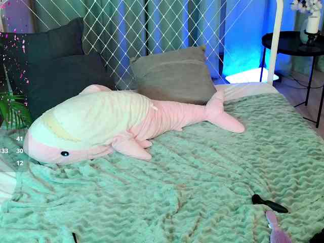 usagi-sasagi webcam
