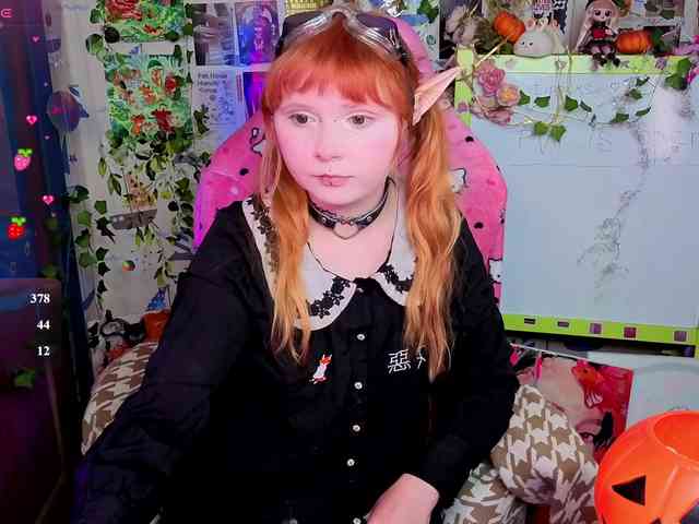 usagi-sasagi webcam