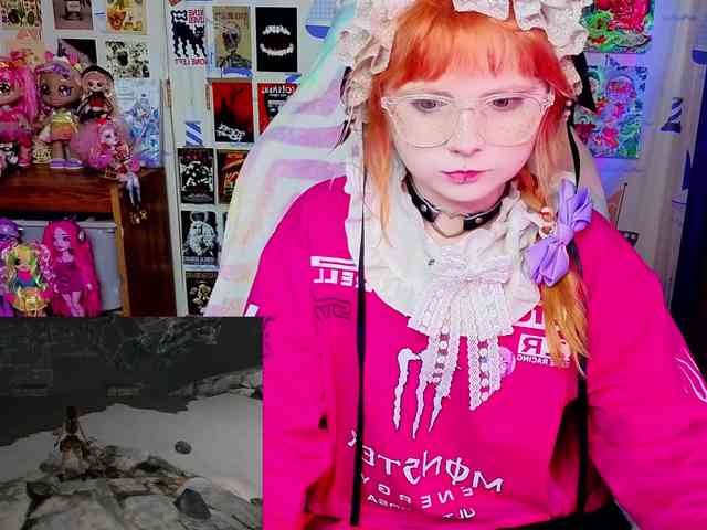 usagi-sasagi webcam