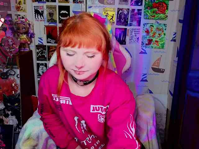 usagi-sasagi webcam