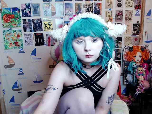 usagi-sasagi webcam