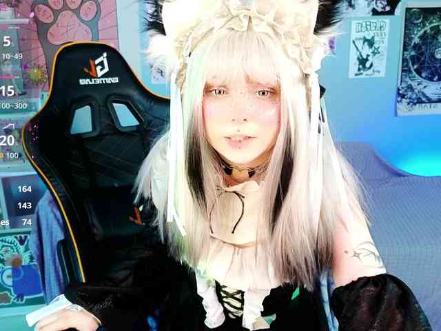 usagi-sasagi webcam
