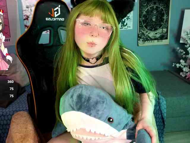 usagi-sasagi webcam