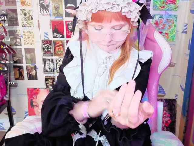 usagi-sasagi webcam