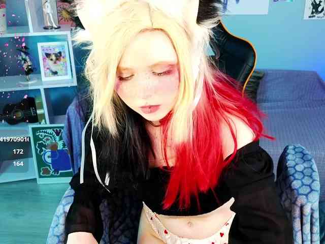 usagi-sasagi webcam