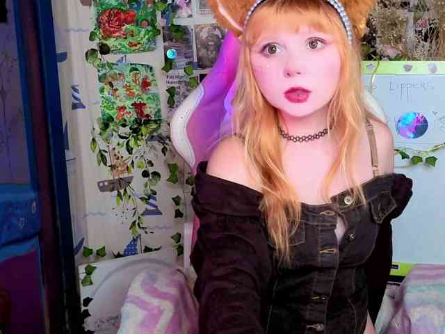 usagi-sasagi webcam