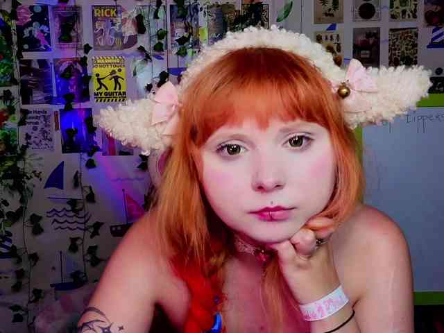 usagi-sasagi webcam