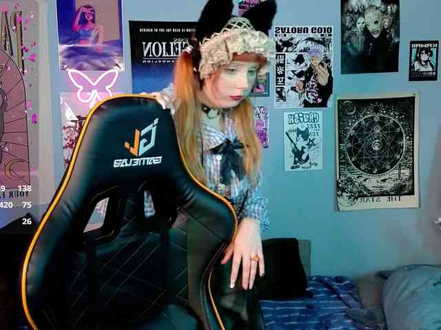 usagi-sasagi webcam