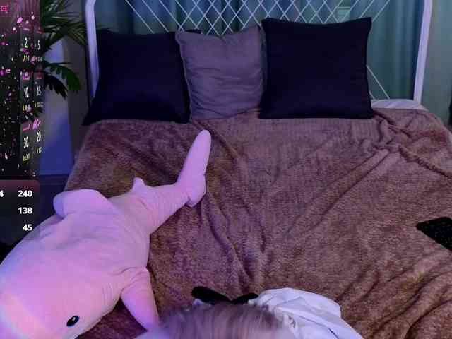 usagi-sasagi webcam