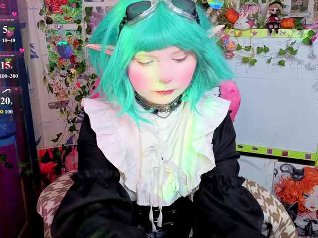usagi-sasagi webcam