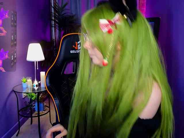 usagi-sasagi webcam
