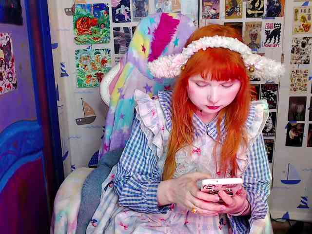 usagi-sasagi webcam