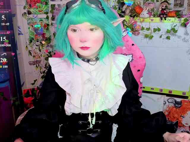 usagi-sasagi webcam