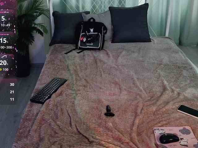 usagi-sasagi webcam