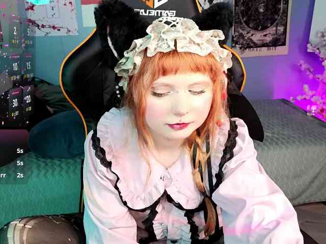 usagi-sasagi webcam
