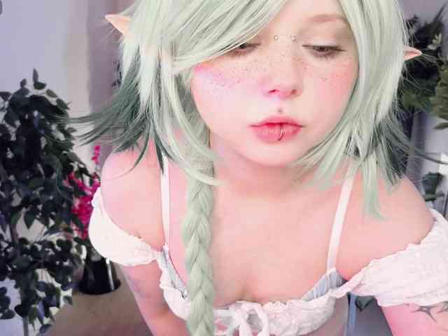 usagi-sasagi webcam