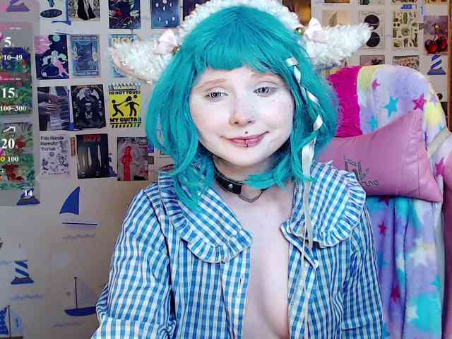 usagi-sasagi webcam
