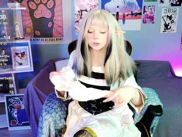 usagi-sasagi webcam
