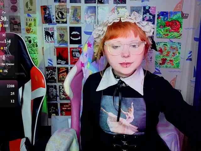 usagi-sasagi webcam