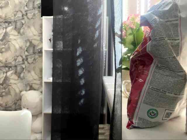 GloryReker webcam