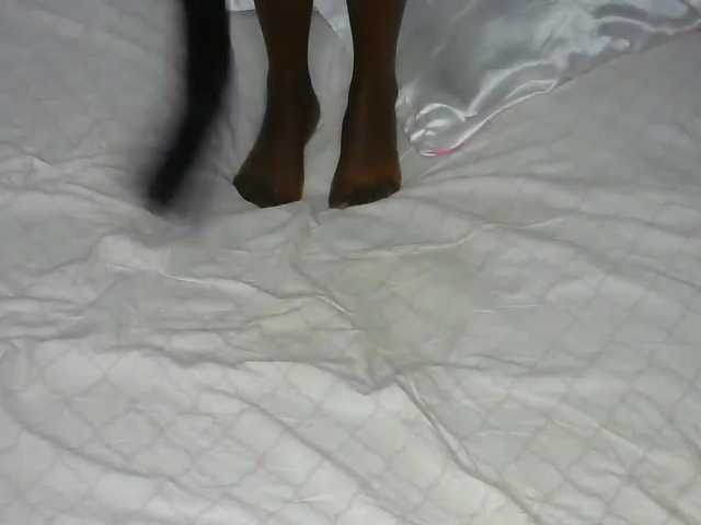 cherry96's BongaCams show and profile