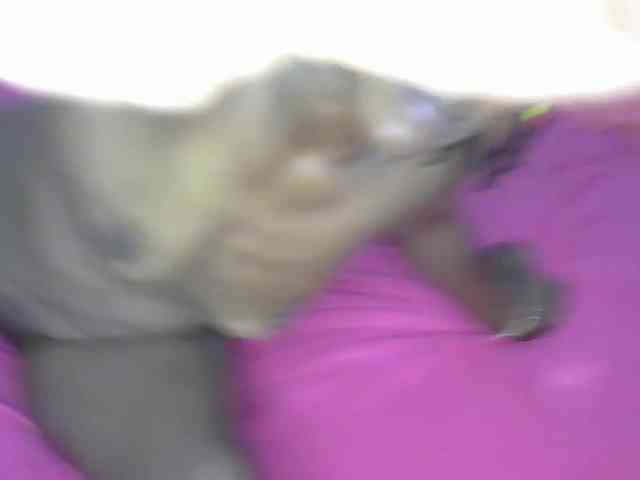 cherry96 webcam