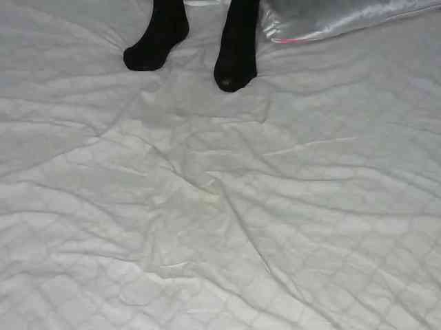 cherry96 webcam