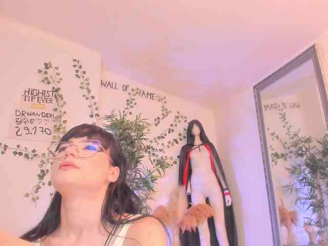 Model: mira0-0