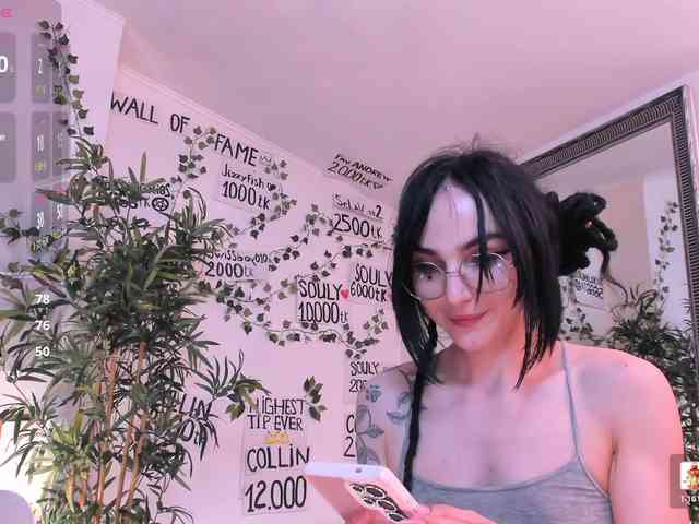 Model: mira0-0