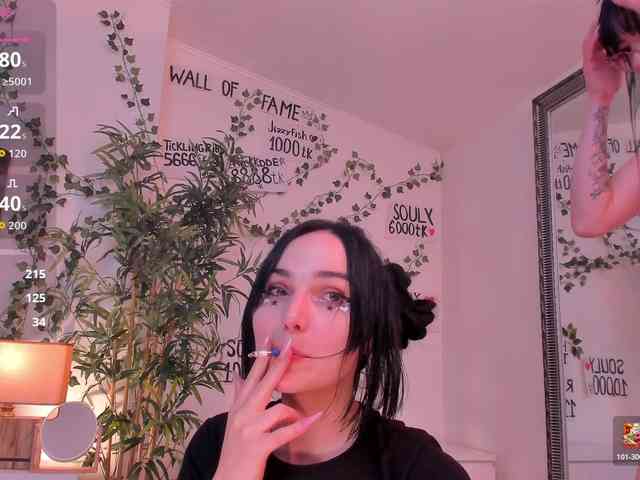 Model: mira0-0