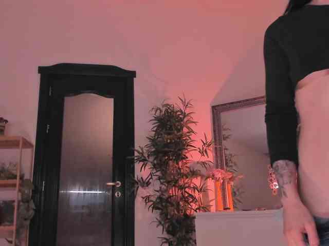 mira0-0 webcam