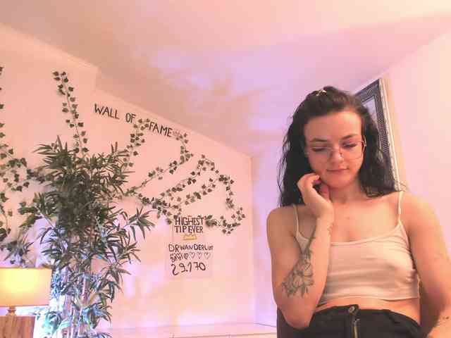 Model: mira0-0