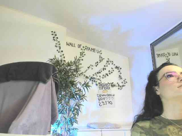 mira0-0 webcam