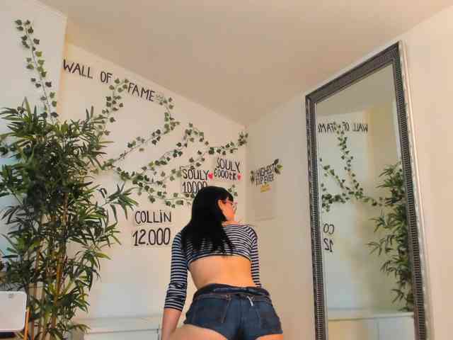 Model: mira0-0