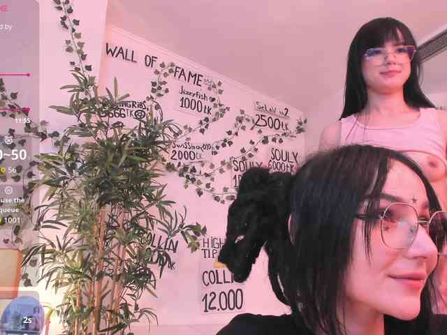 Model: mira0-0