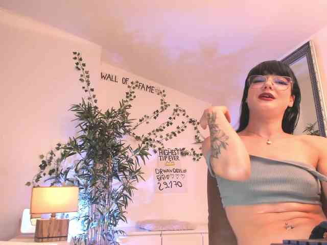 Model: mira0-0