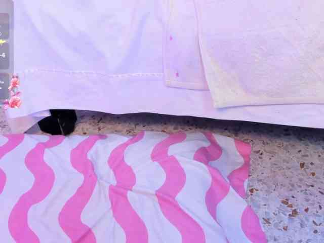 Модель: DianaSheren