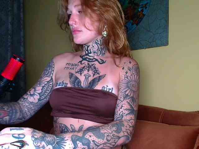 LuaWildolf webcam