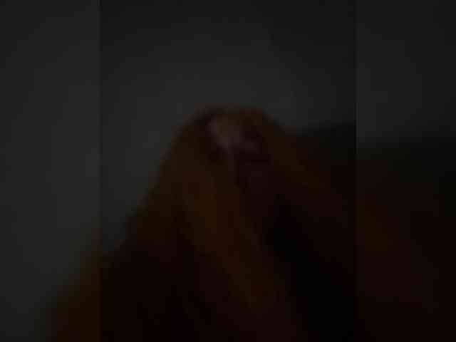 BunnyYT webcam