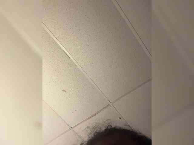 BunnyYT webcam