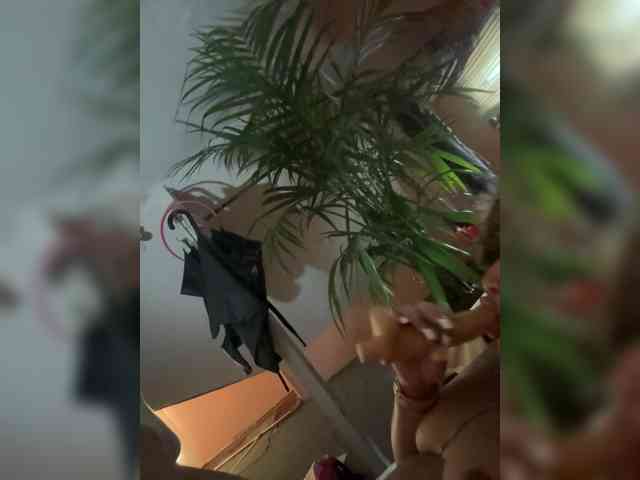BunnyYT webcam