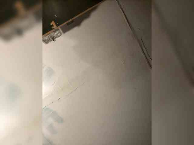 BunnyYT webcam