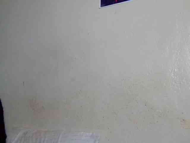 SweetKimmie webcam
