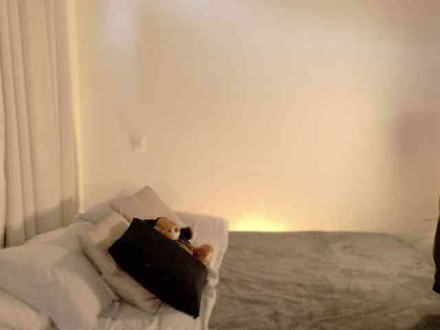 ChloeMoreti webcam