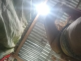 Chemaihot96